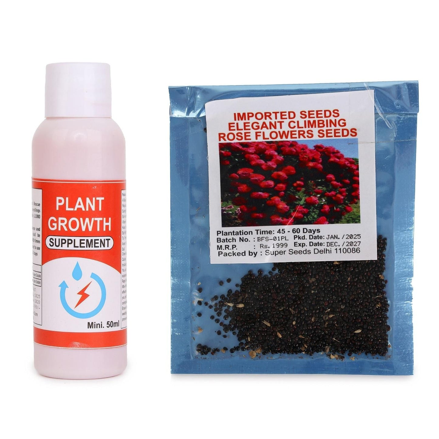 Elegant Imported Climbing Rose Flower Seeds