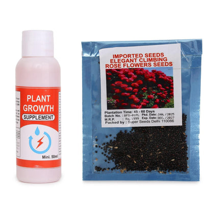 Elegant Imported Climbing Rose Flower Seeds