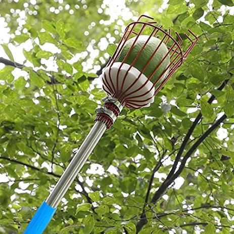 Fruit Picker with Basket and Telescopic Pole, Fruit Plucker for Guavas, Mango and More, Lightweight & Durable (Free Bag)