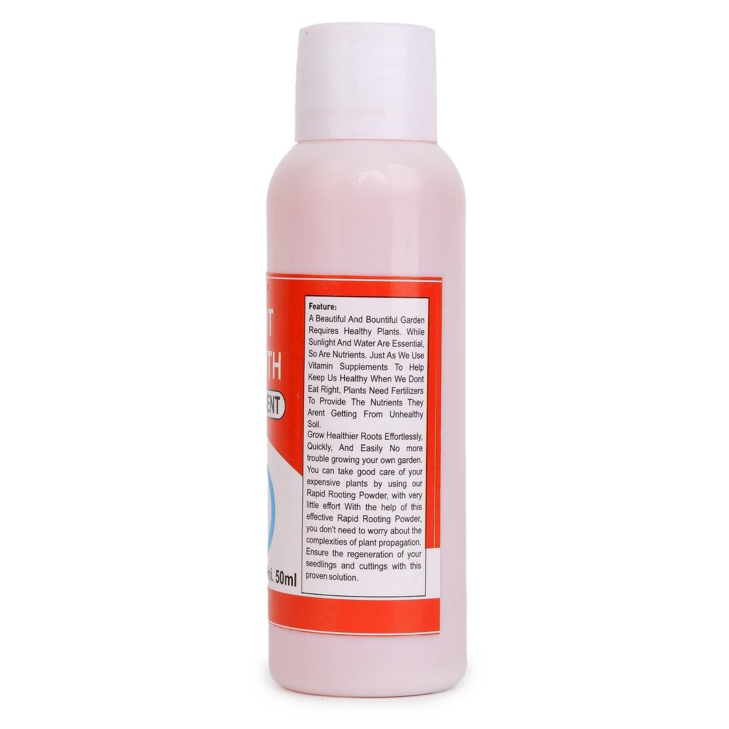 Elegant Imported Climbing Rose Flower Seeds