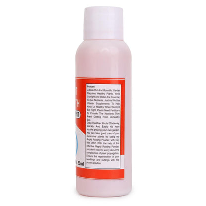 Elegant Imported Climbing Rose Flower Seeds