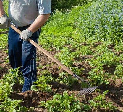 5 Teeth Carbon Steel Garden Weeding - Rust proof