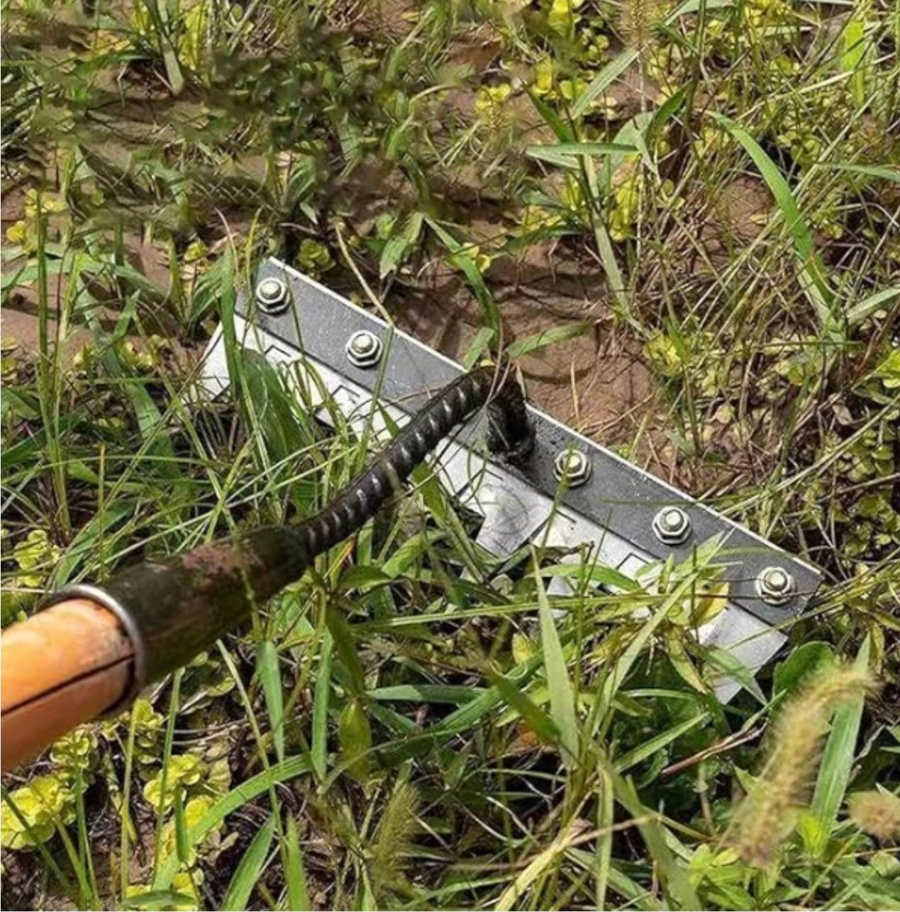 5 Teeth Carbon Steel Garden Weeding - Rust proof