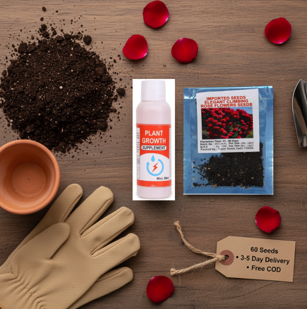 Elegant Imported Climbing Rose Flower Seeds