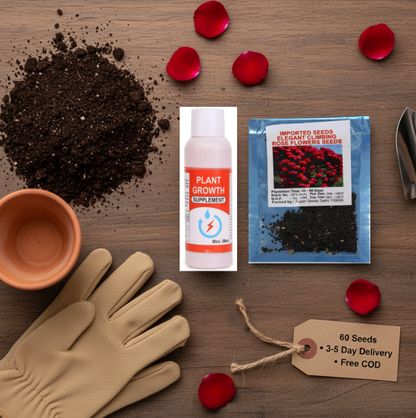 Elegant Imported Climbing Rose Flower Seeds